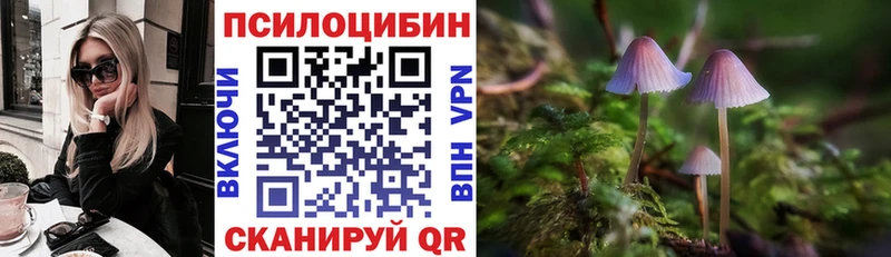 Псилоцибиновые грибы Magic Shrooms  MEGA ССЫЛКА  Мышкин 